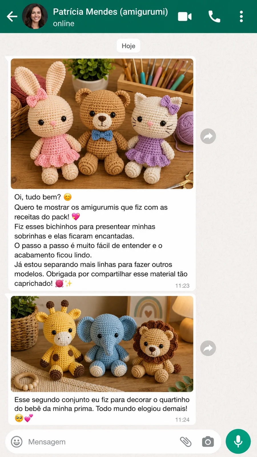 Depoimento no WhatsApp de cliente mostrando amigurumis feitos com o pack